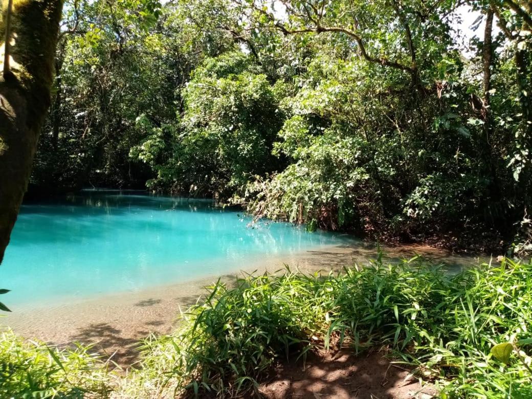 Posada Rio Celeste In住宿加早餐旅馆 外观 照片