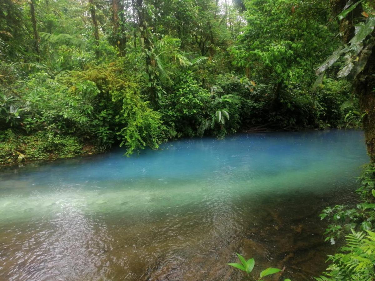 Posada Rio Celeste In住宿加早餐旅馆 外观 照片