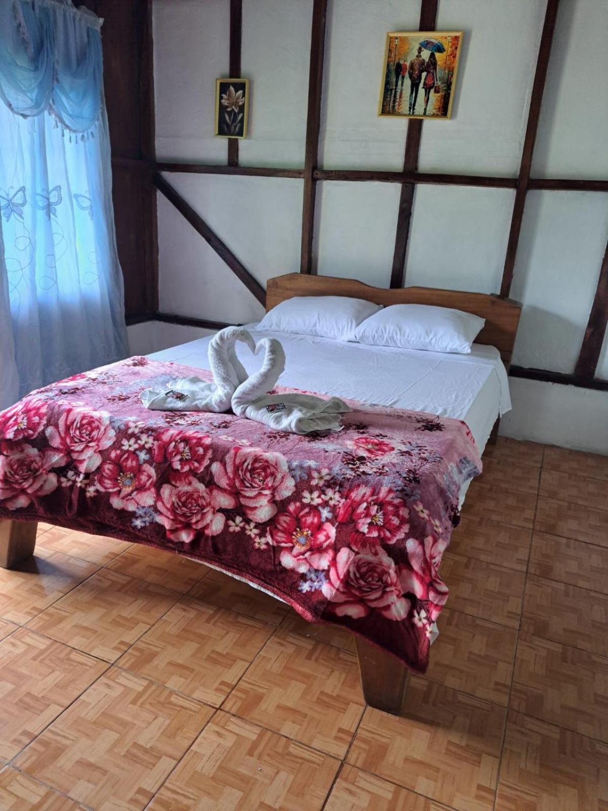 Posada Rio Celeste In住宿加早餐旅馆 外观 照片